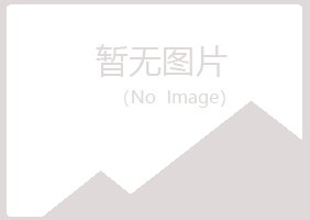 镇安县紫山能源有限公司